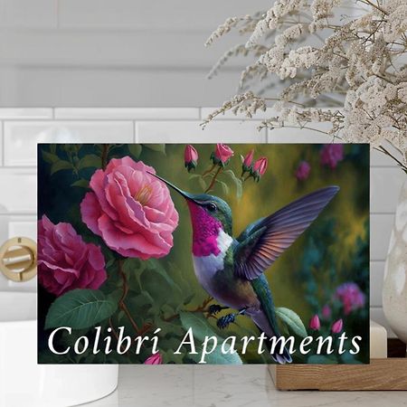 Colibri Apartamentos Vista Mar موخاكار المظهر الخارجي الصورة