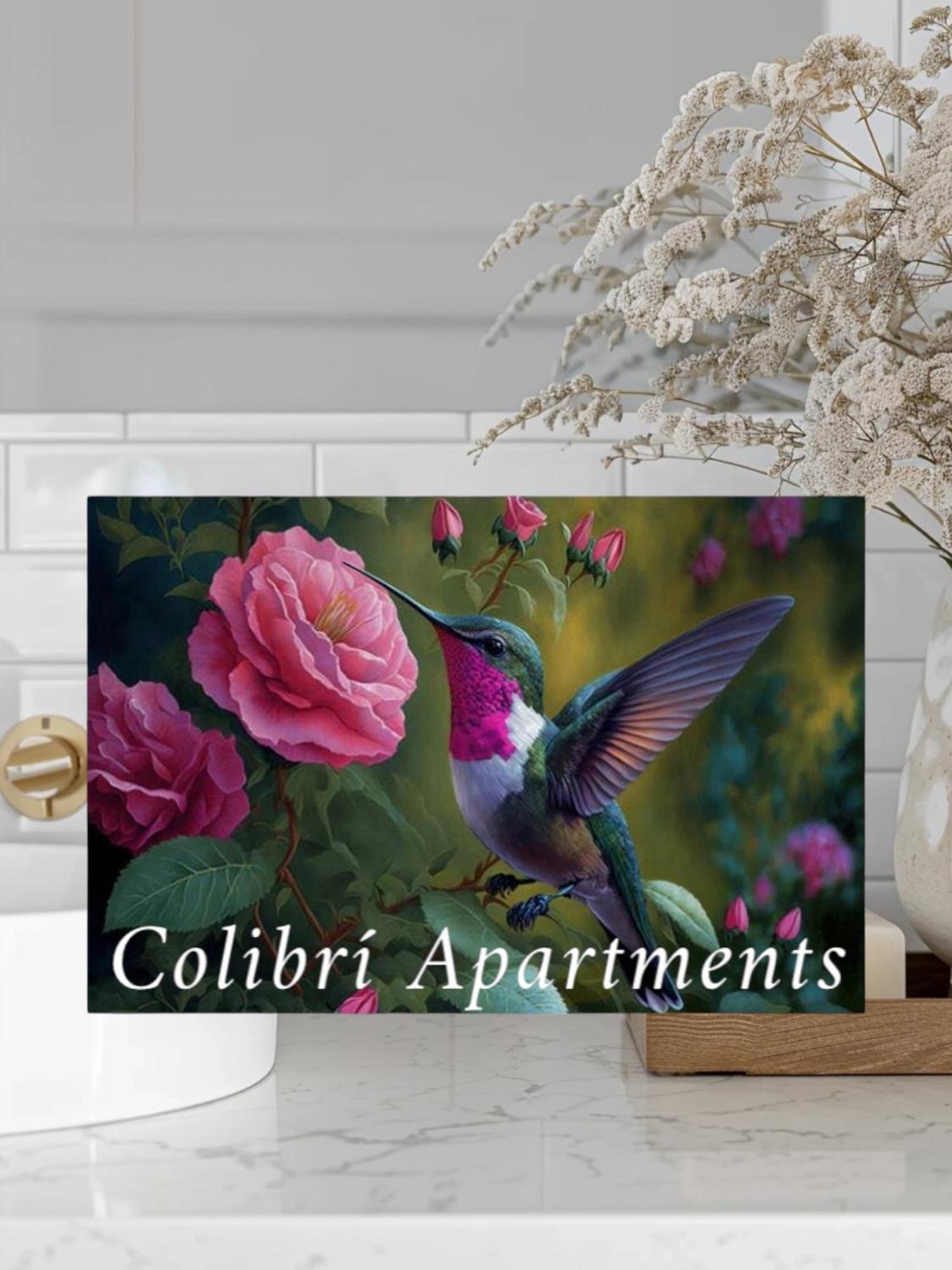 Colibri Apartamentos Vista Mar موخاكار المظهر الخارجي الصورة