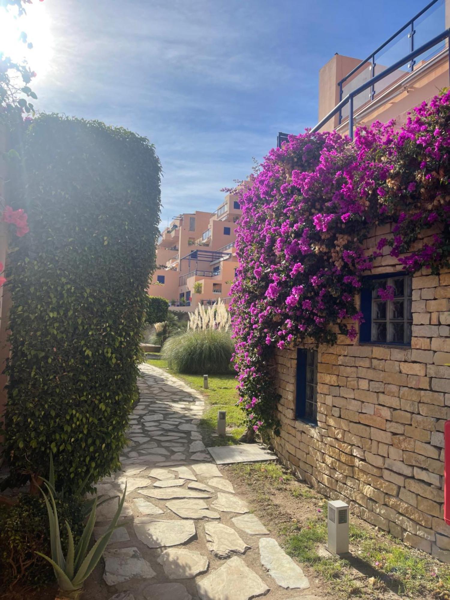 Colibri Apartamentos Vista Mar موخاكار المظهر الخارجي الصورة